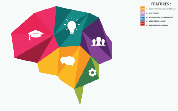 Brain Polygon Infographic Vector Elements